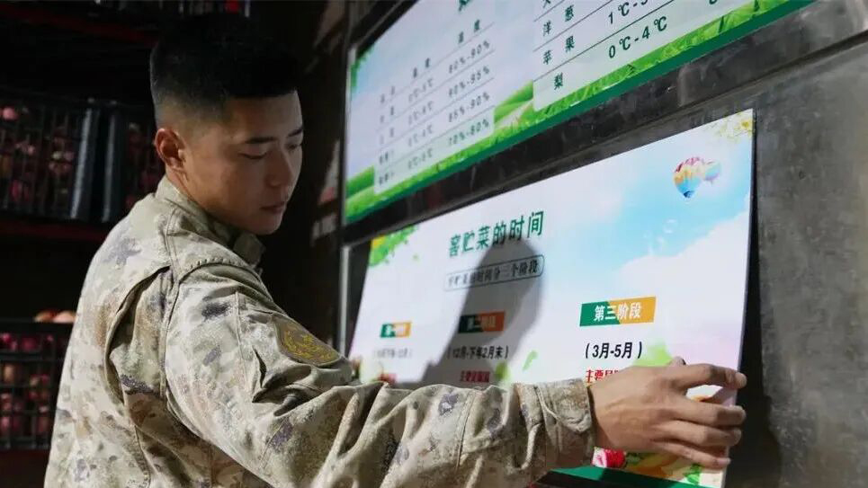 蘿卜、土豆、大白菜……向右看齊！